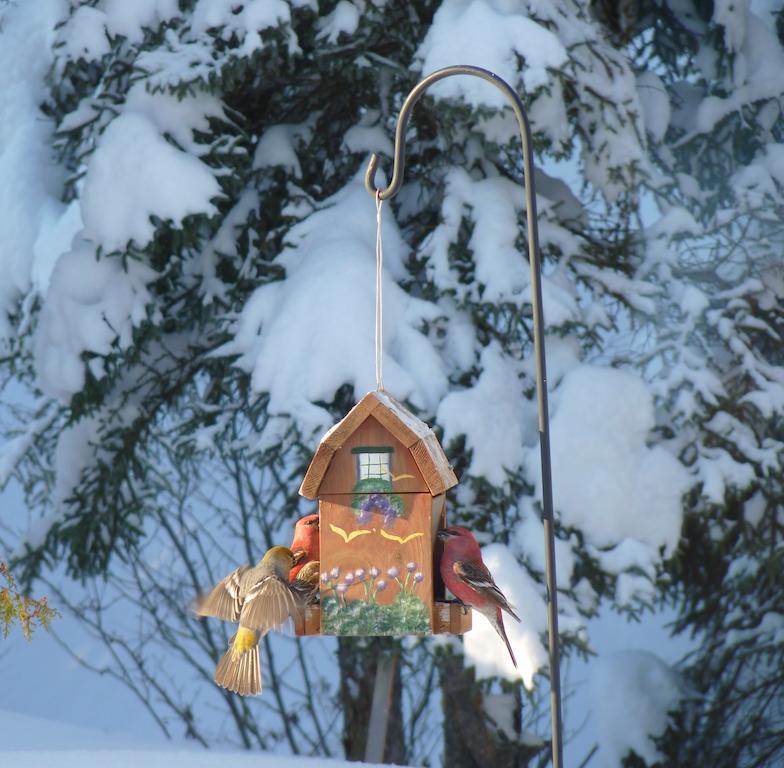 Bed and Breakfast Gite De La Riviere Шибугамо Экстерьер фото